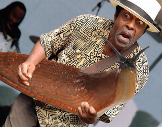 Illustration for article titled Our New Favorite Tumblr: SLUG SOLOS